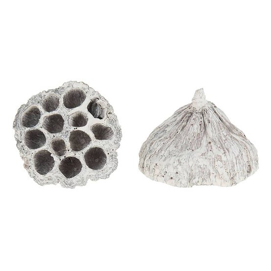 White Wash Lotus 4 Pieces image number 1