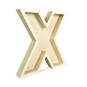 Wooden Fillable Letter X 22cm image number 1