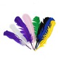 Assorted Pastel and Bright American Style Feathers 9 Pack image number 1