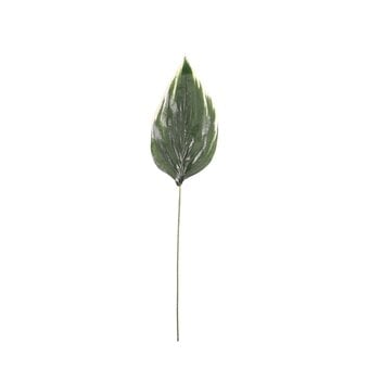 Single Hosta Leaf 70cm x 17cm