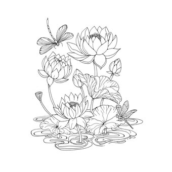 Tropical Wonderland Colouring Book