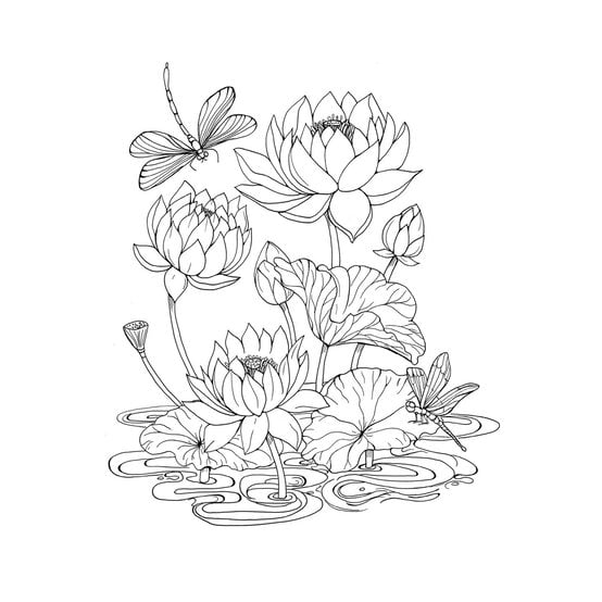 Tropical Wonderland Colouring Book image number 2