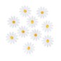 Mini Daisy Iron-On Motifs 10 Pack image number 1