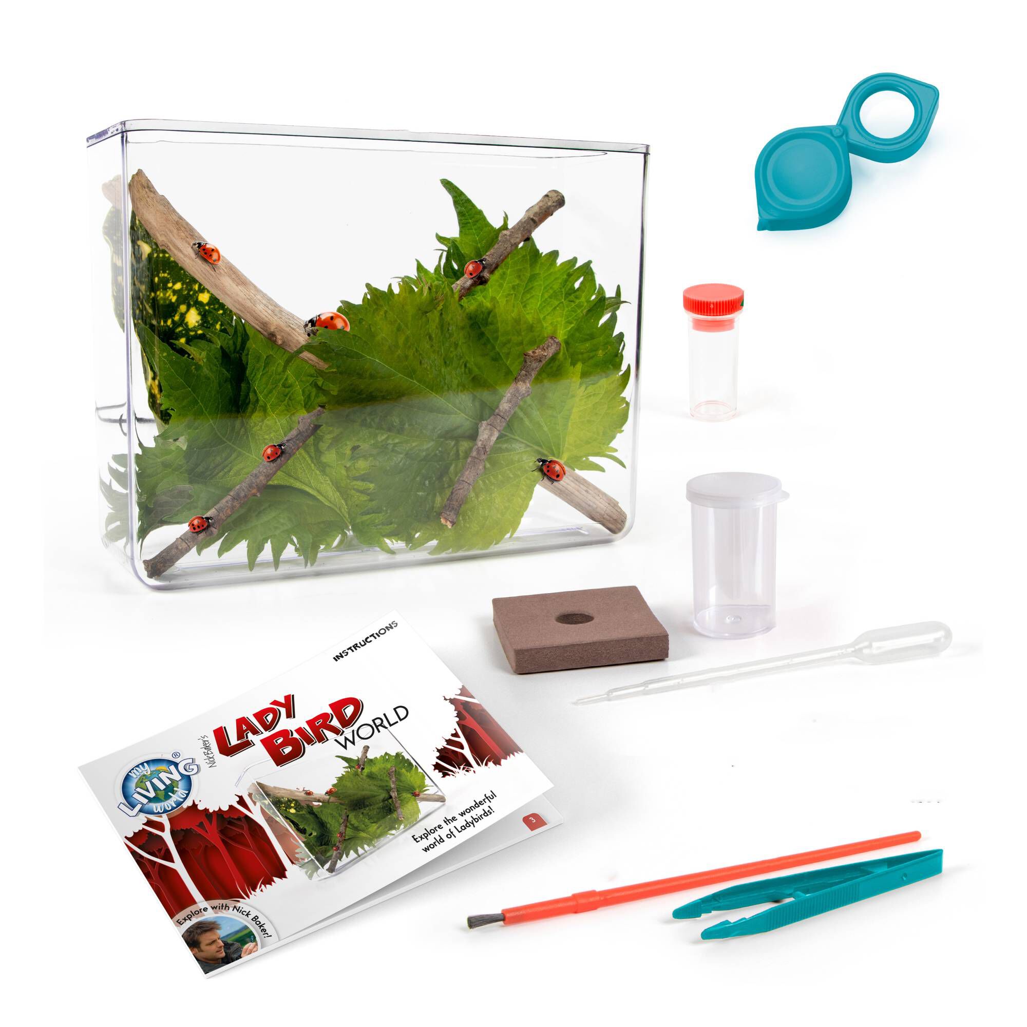 My Living World Ladybird World Hobbycraft