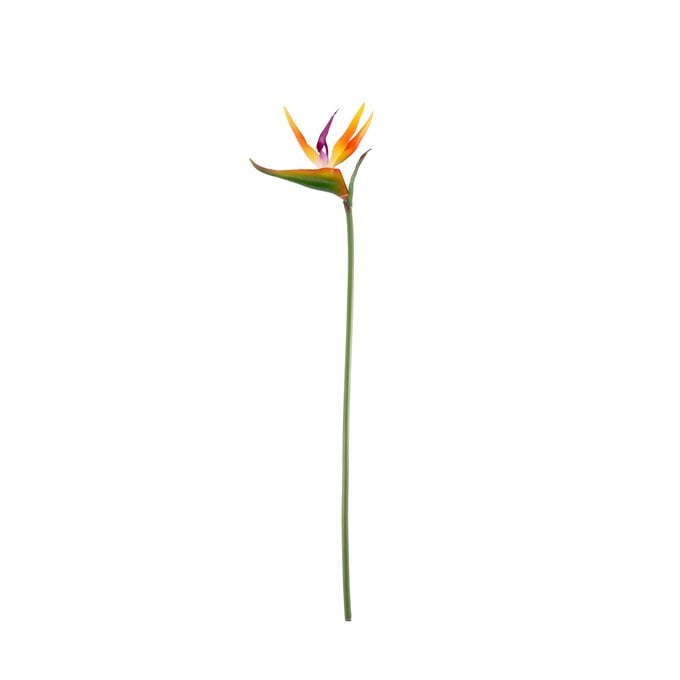 Small Bird of Paradise 65cm x 14cm image number 1