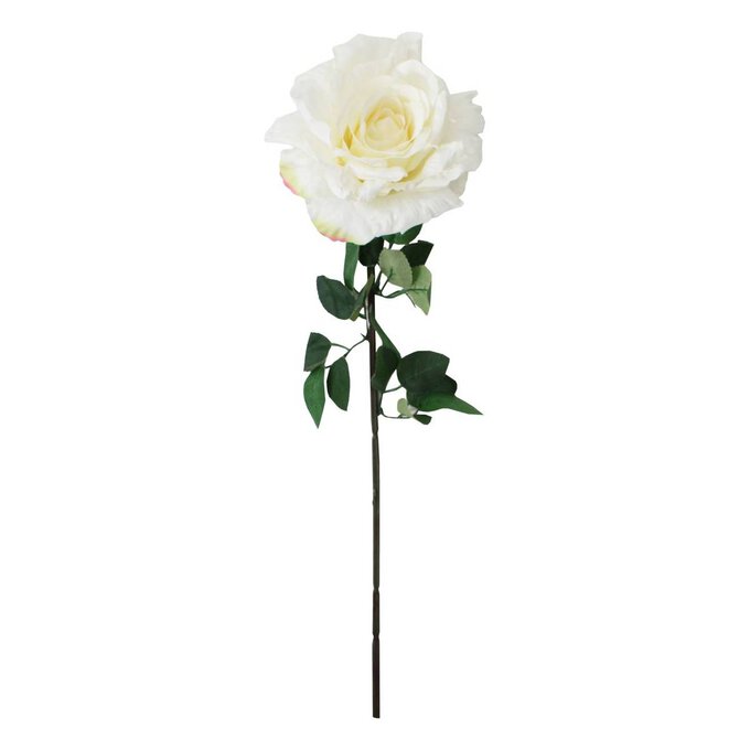 White Sorbet Rose Stem 74cm image number 1