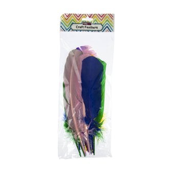 American Feathers 15 Pack image number 4