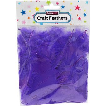 Purple Craft Feathers 5g image number 3