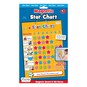Magnetic Star Chart image number 1
