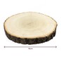 Birch Wooden Slice 15cm image number 4