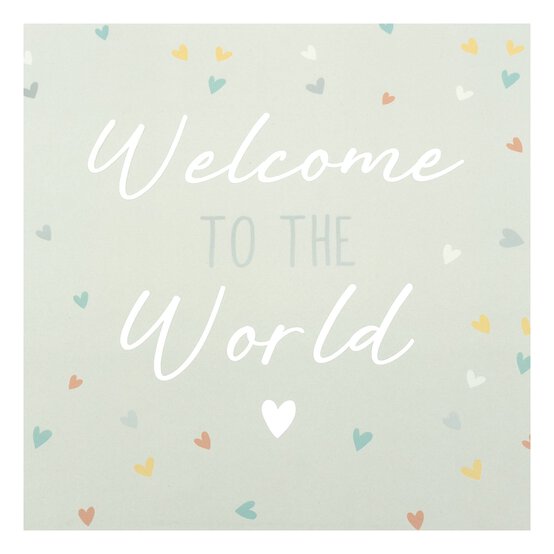 Welcome to the World Gift Bag 26.5cm x 33cm image number 3