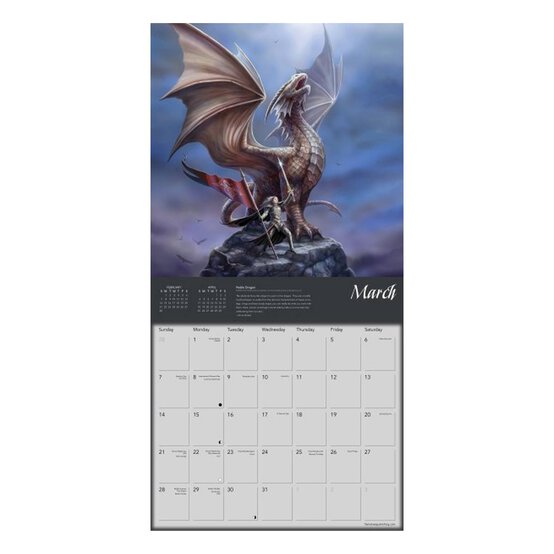 Dragons by Anne Stokes Wall Calendar 2027 image number 2