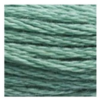 DMC Green Mouline Special 25 Cotton Thread 8m (3816) image number 2