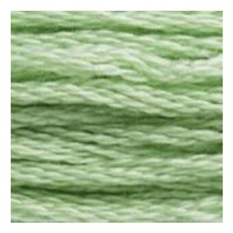DMC Green Mouline Special 25 Cotton Thread 8m (164)