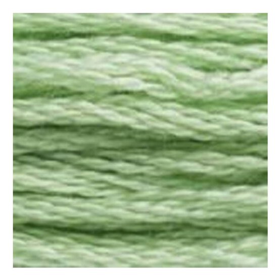DMC Green Mouline Special 25 Cotton Thread 8m (164)