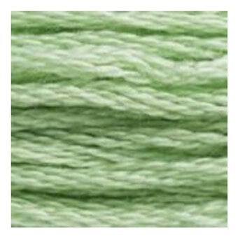 DMC Green Mouline Special 25 Cotton Thread 8m (164) image number 2