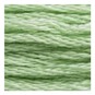 DMC Green Mouline Special 25 Cotton Thread 8m (164) image number 2