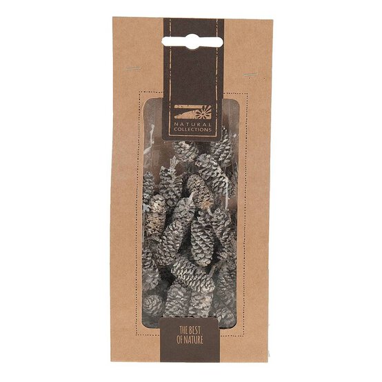 Birch Pine Cones 50 g