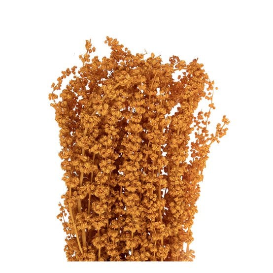 Yellow Stag Grass Bunch 60cm image number 3