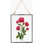 FREE PATTERN DMC Roses Cross Stitch 0183 image number 3