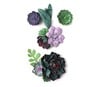 Succulent Meadow Embellishments 4 Pack image number 1