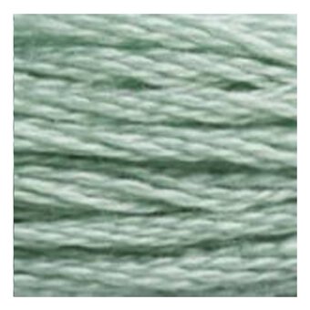 DMC Green Mouline Special 25 Cotton Thread 8m (3817)