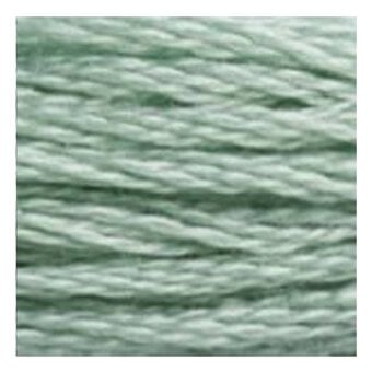 DMC Green Mouline Special 25 Cotton Thread 8m (3817) image number 2