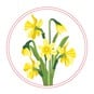 Daffodil Transparent Embroidery Kit  image number 4