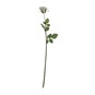 Champagne Camelot Open Rose 74cm x 10cm image number 1