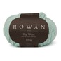 Rowan Floss Big Wool 100g image number 1
