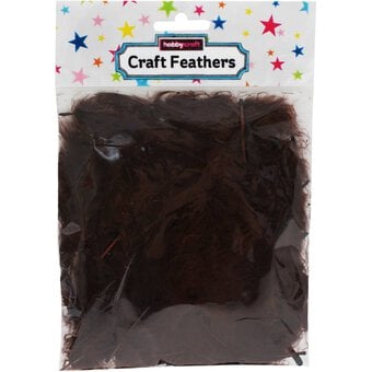 Brown Craft Feathers 5g image number 3
