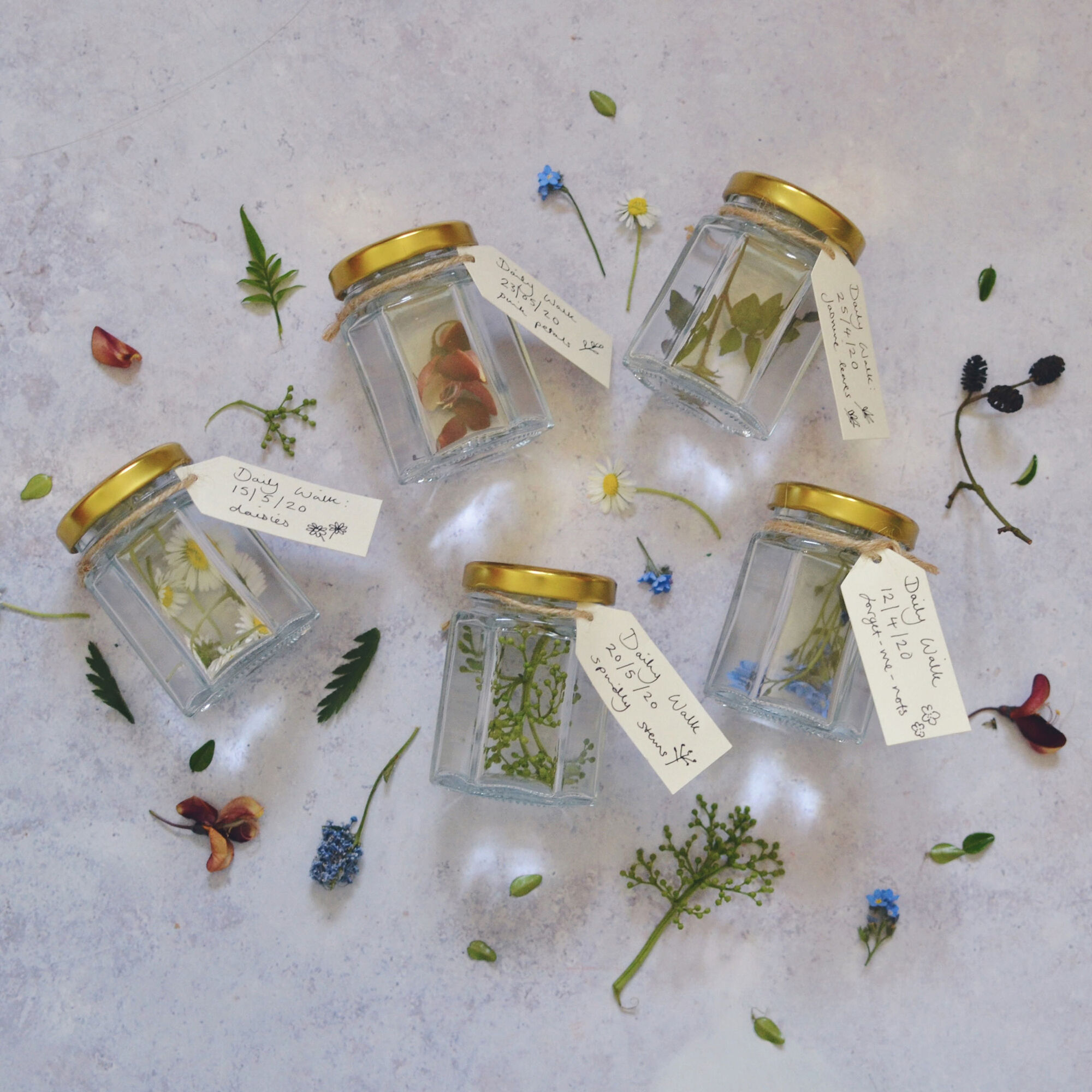 How to Make Botanical Jars Hobbycraft