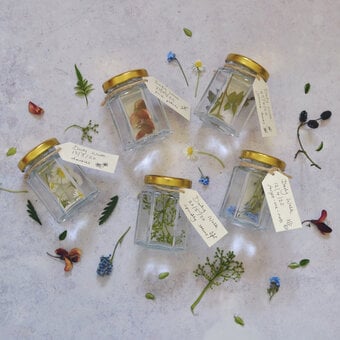 How to Make Botanical Jars