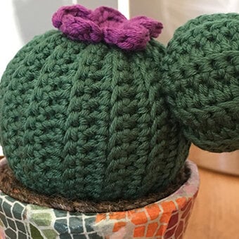 How to Crochet a Cactus