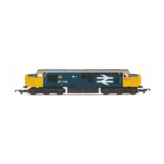 Hornby RailRoad Plus BR Class 37 Co-Co Era 8 image number 1