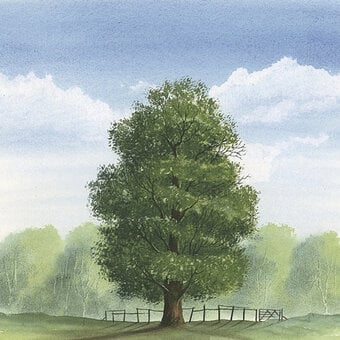 How to Paint a Summer Tree