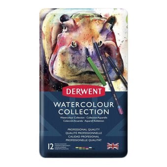 Derwent Watercolour Collection 12 Pieces