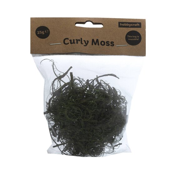 Green Curly Moss 25g image number 5