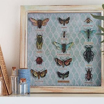 How to Create a Piece of Entomology Wall Art