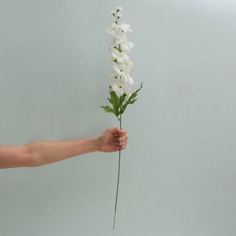 Cream Delphinium Spray 78cm