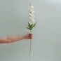 Cream Delphinium Spray 78cm image number 2
