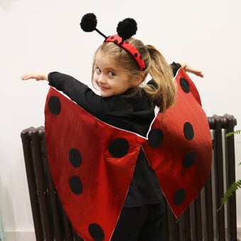 How to Make a Ladybird Costume