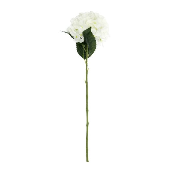 White Hydrangea Stem 70cm image number 1