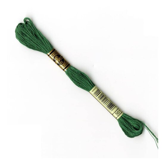 DMC Green Mouline Special 25 Cotton Thread 8m (561)