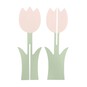 Pink Wooden Tulip image number 4