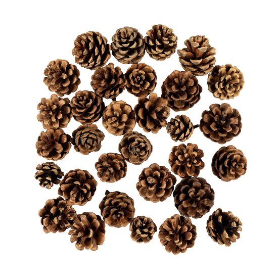 Pinecones 200g image number 3