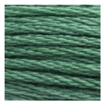 DMC Green Mouline Special 25 Cotton Thread 8m (163)