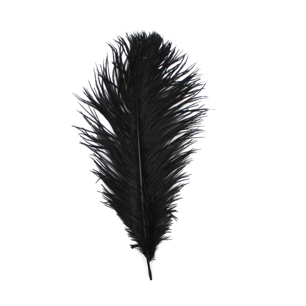 Black Ostrich Feather 30cm Hobbycraft