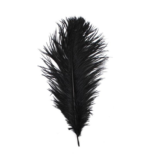 Black Ostrich Feather 30cm image number 1