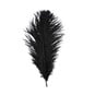 Black Ostrich Feather 30cm image number 1